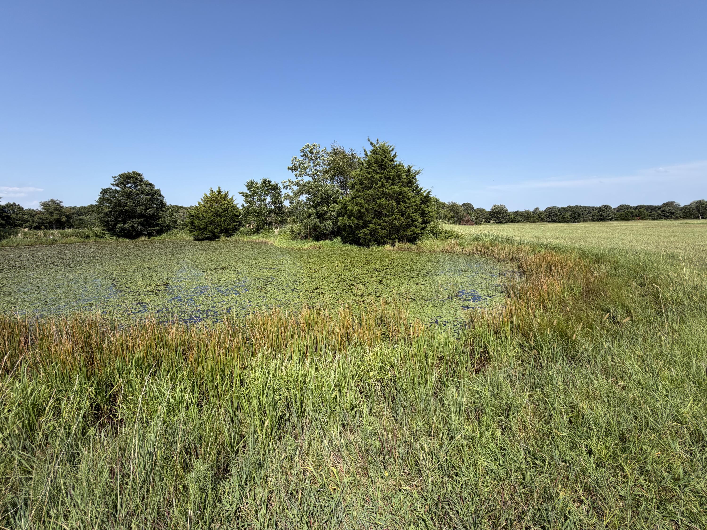 Photo of 000 State Highway Y Seneca MO 64865