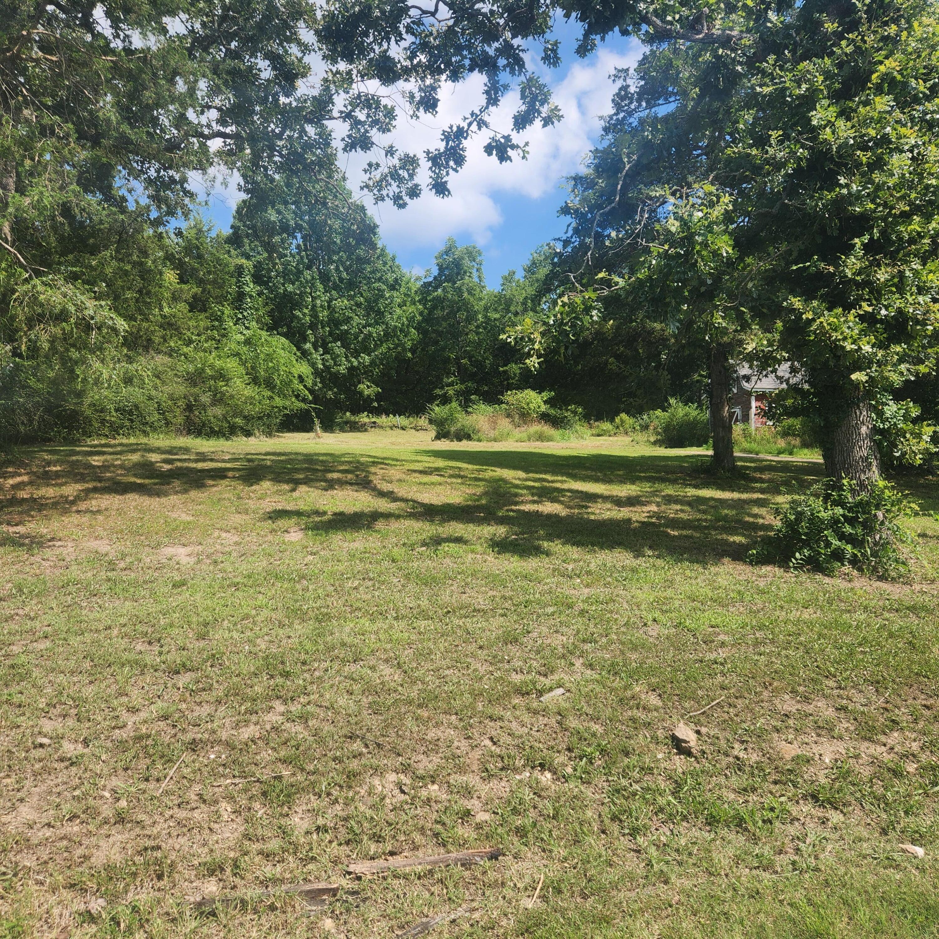Photo of 000 S Ludora Drive Shell Knob MO 65747