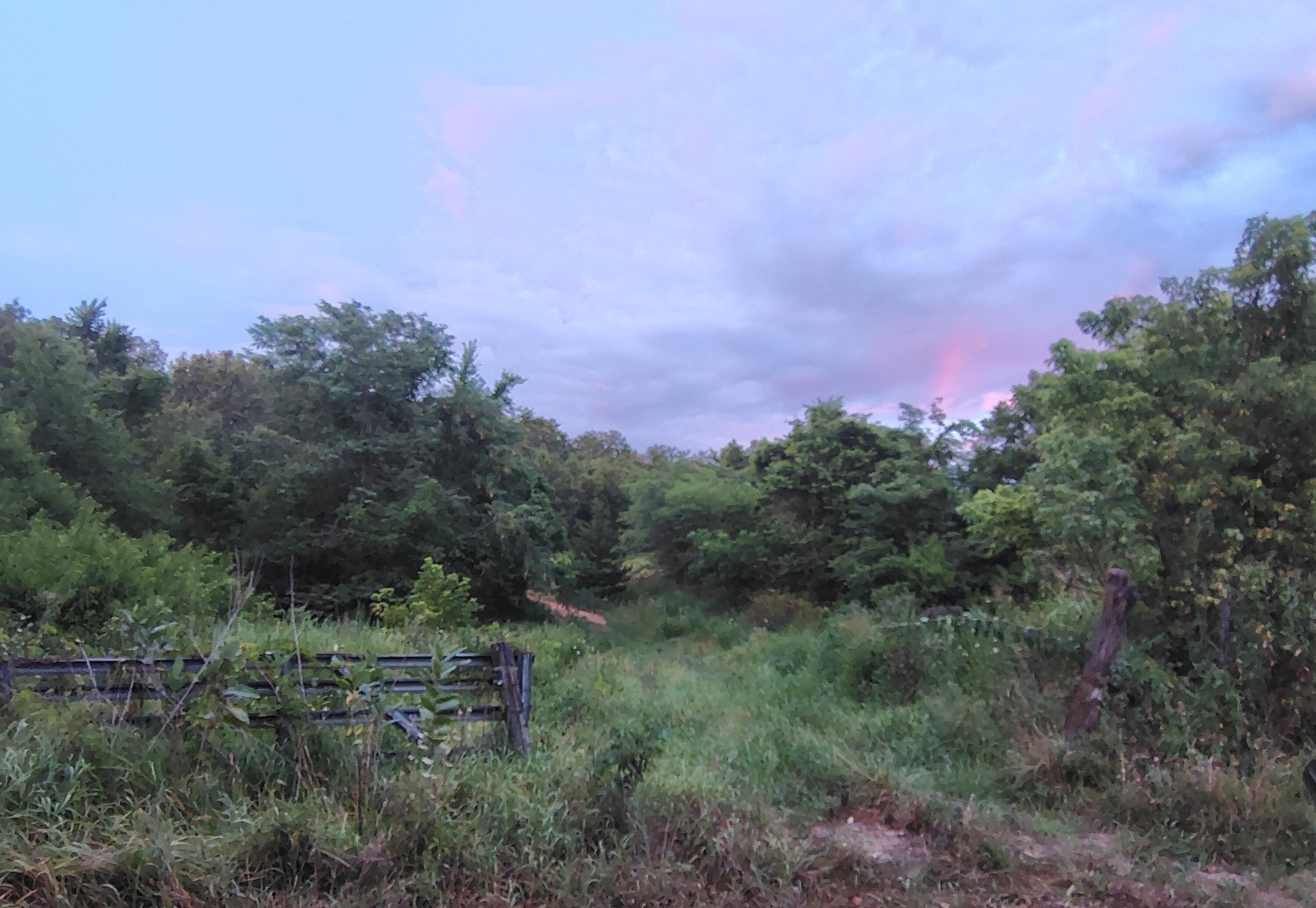 Photo of 000 County Road 150 Preston MO 65732