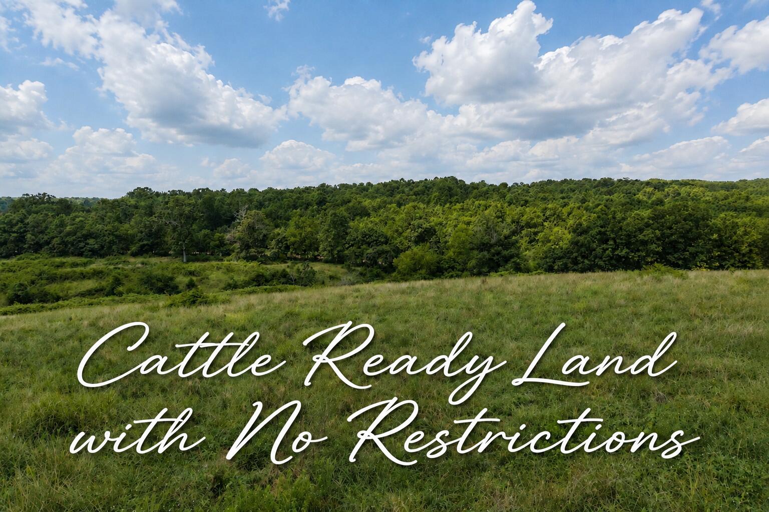 Photo of Tbd State Highway E Hartville MO 65667