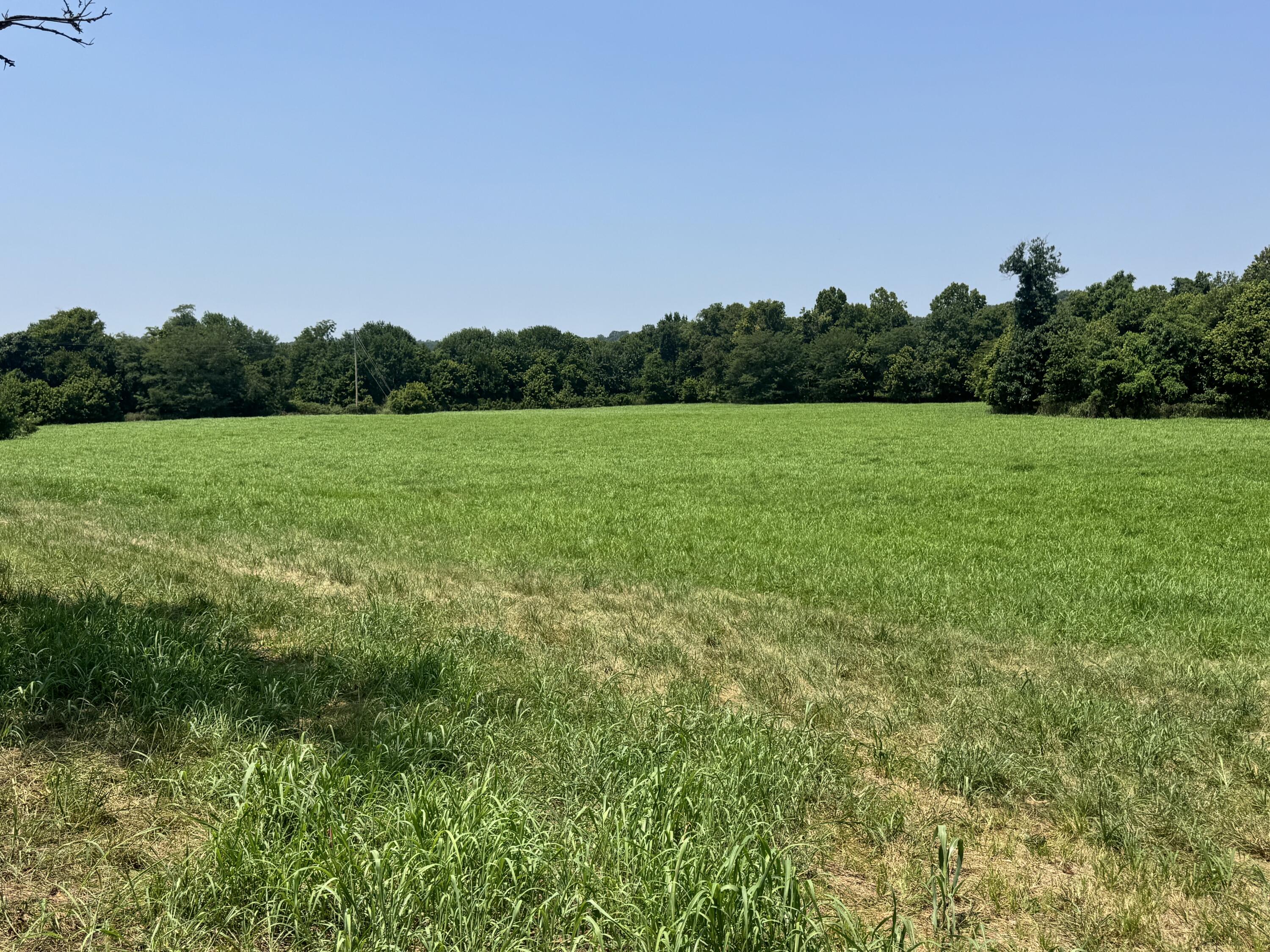 Photo of 000 Gracie Lane Pineville MO 64856