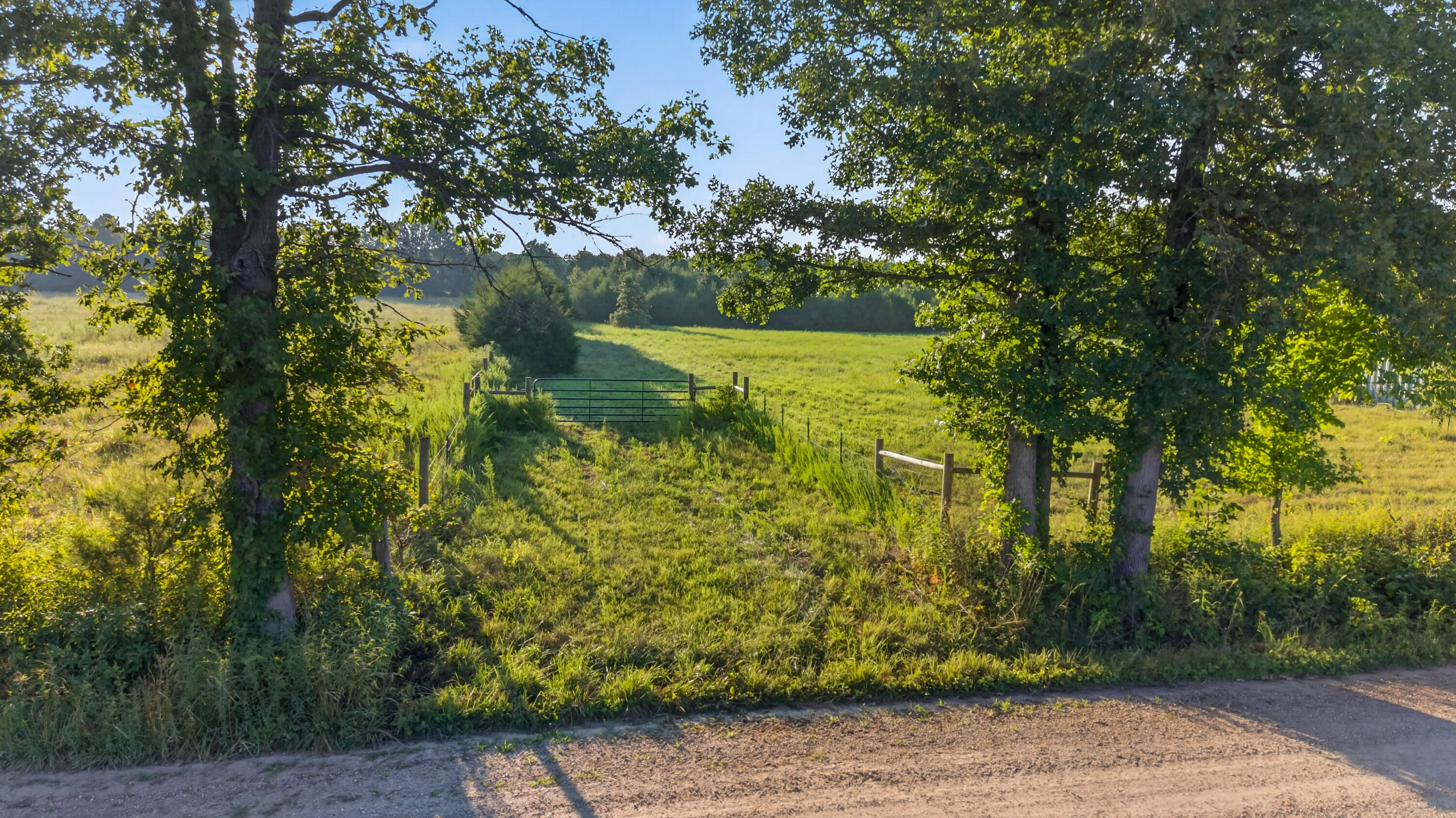 Photo of 000 Woodhill Road Buffalo MO 65622