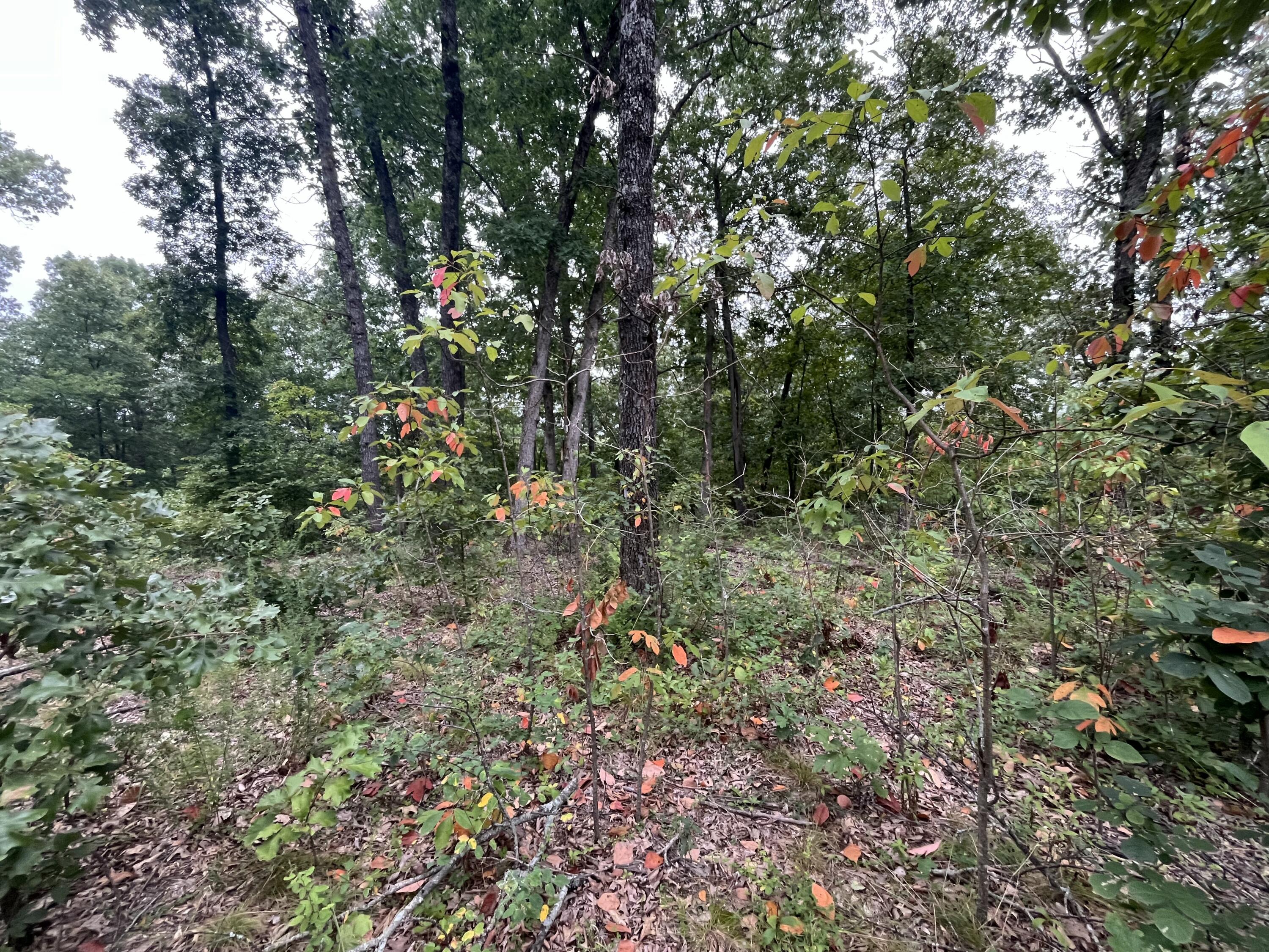 Photo of 000 Partridge Drive Climax Springs MO 65324