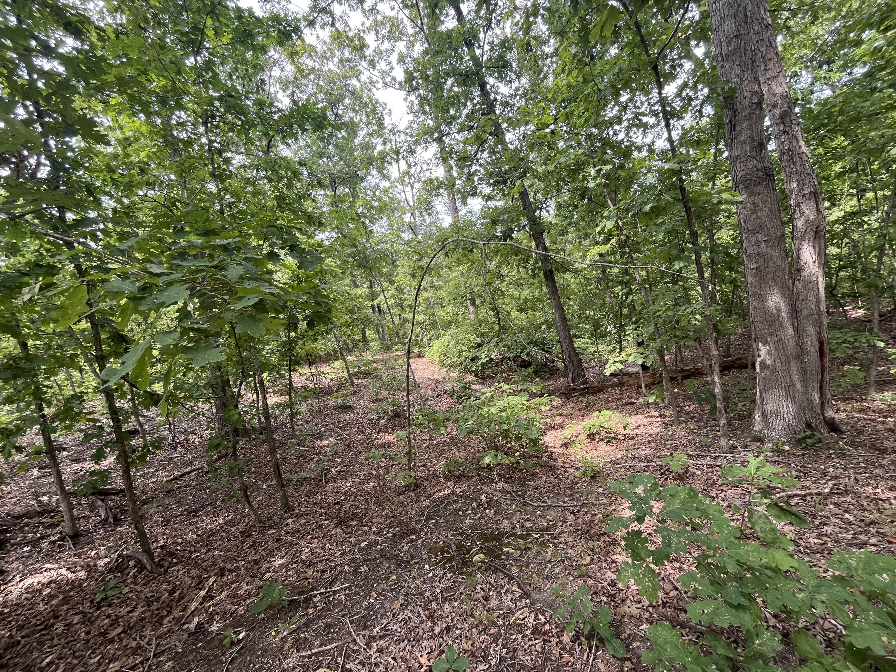 Photo of 1 Partridge Drive Climax Springs MO 65324