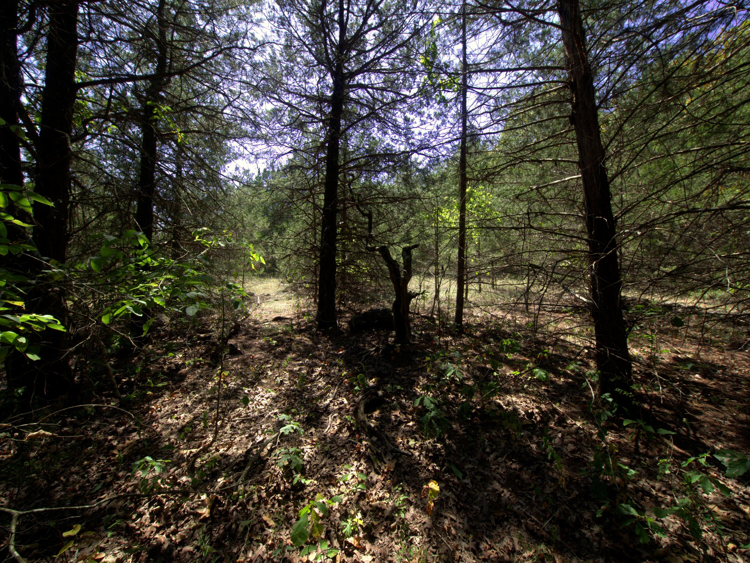 Photo of Tract 1-3 Simpson Rd Urbana MO 65767