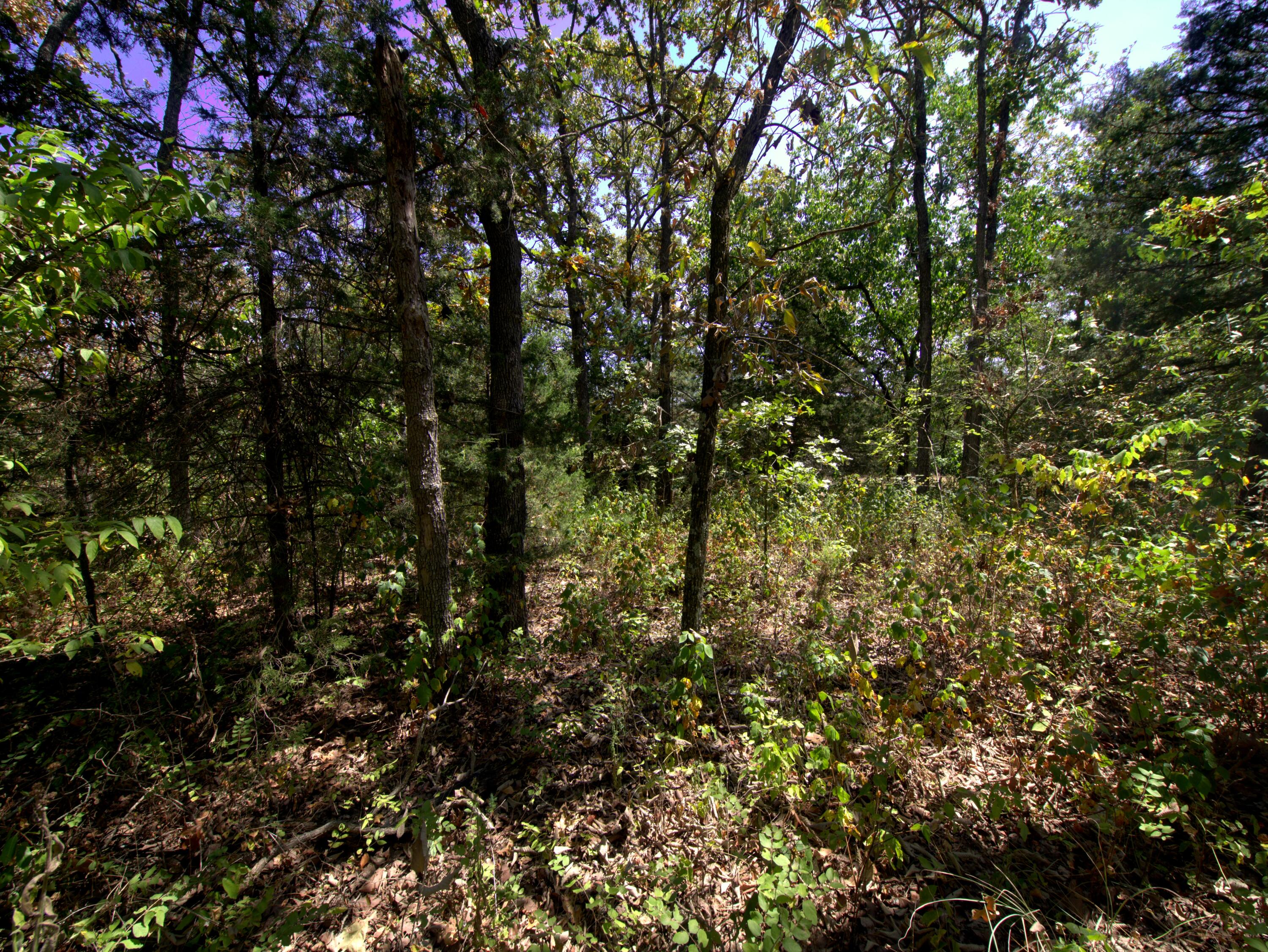 Photo of Tract 2-4 Simpson Rd Urbana MO 65767