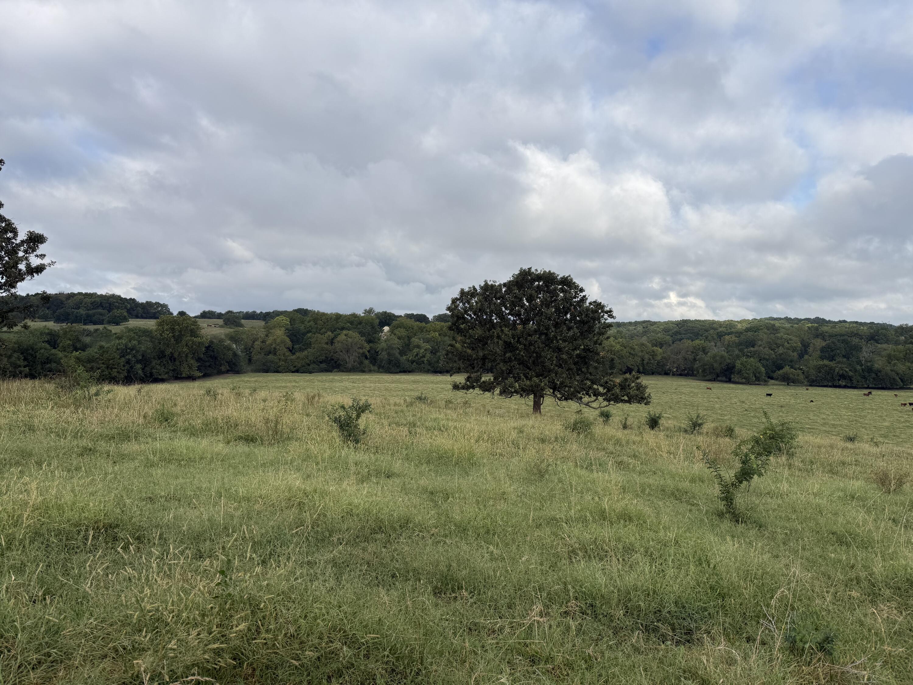 Photo of Tract 2 S Farm Road 55 Republic MO 65738