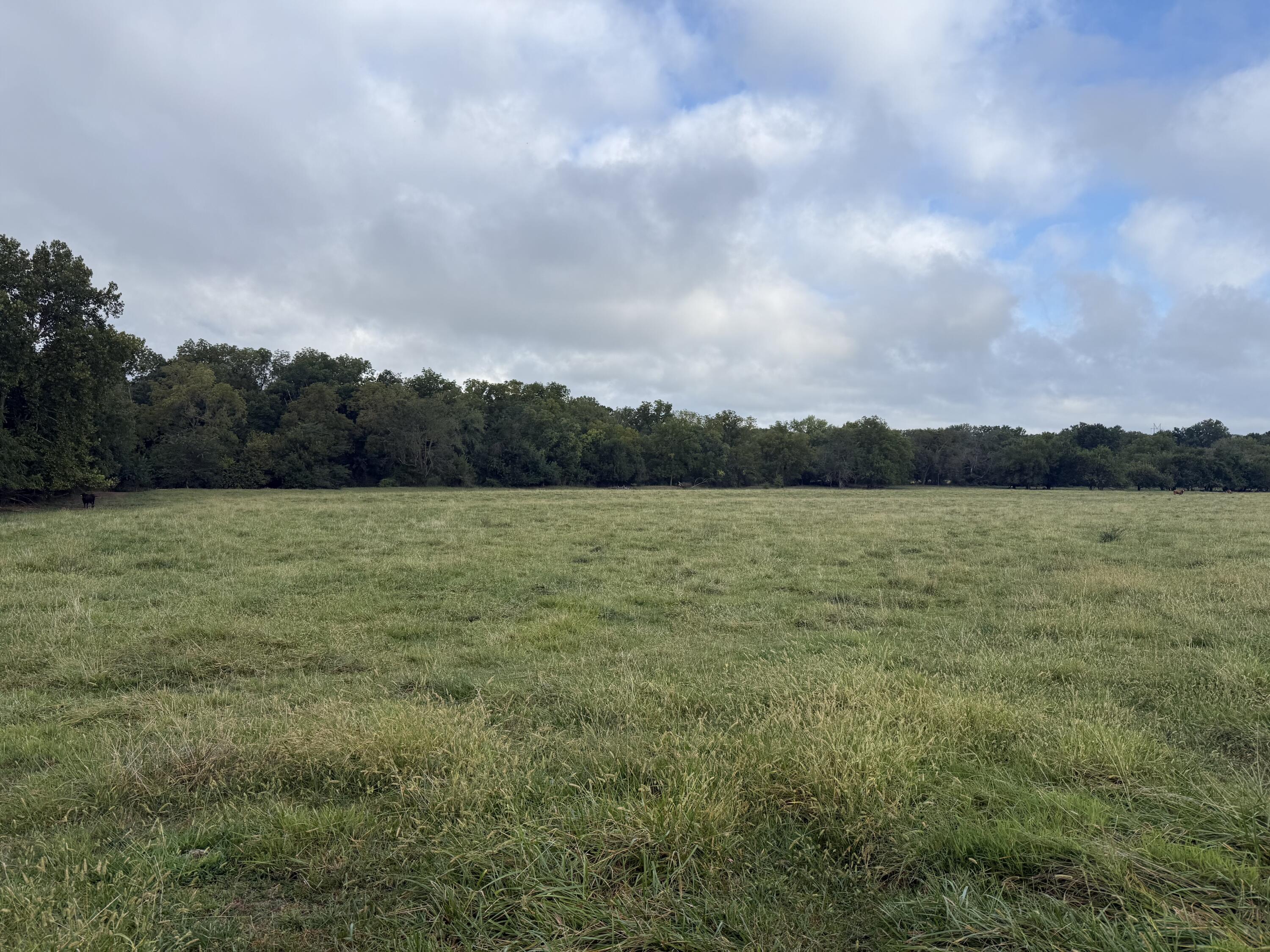 Photo of Tract 3 S Farm Road 55 Republic MO 65738