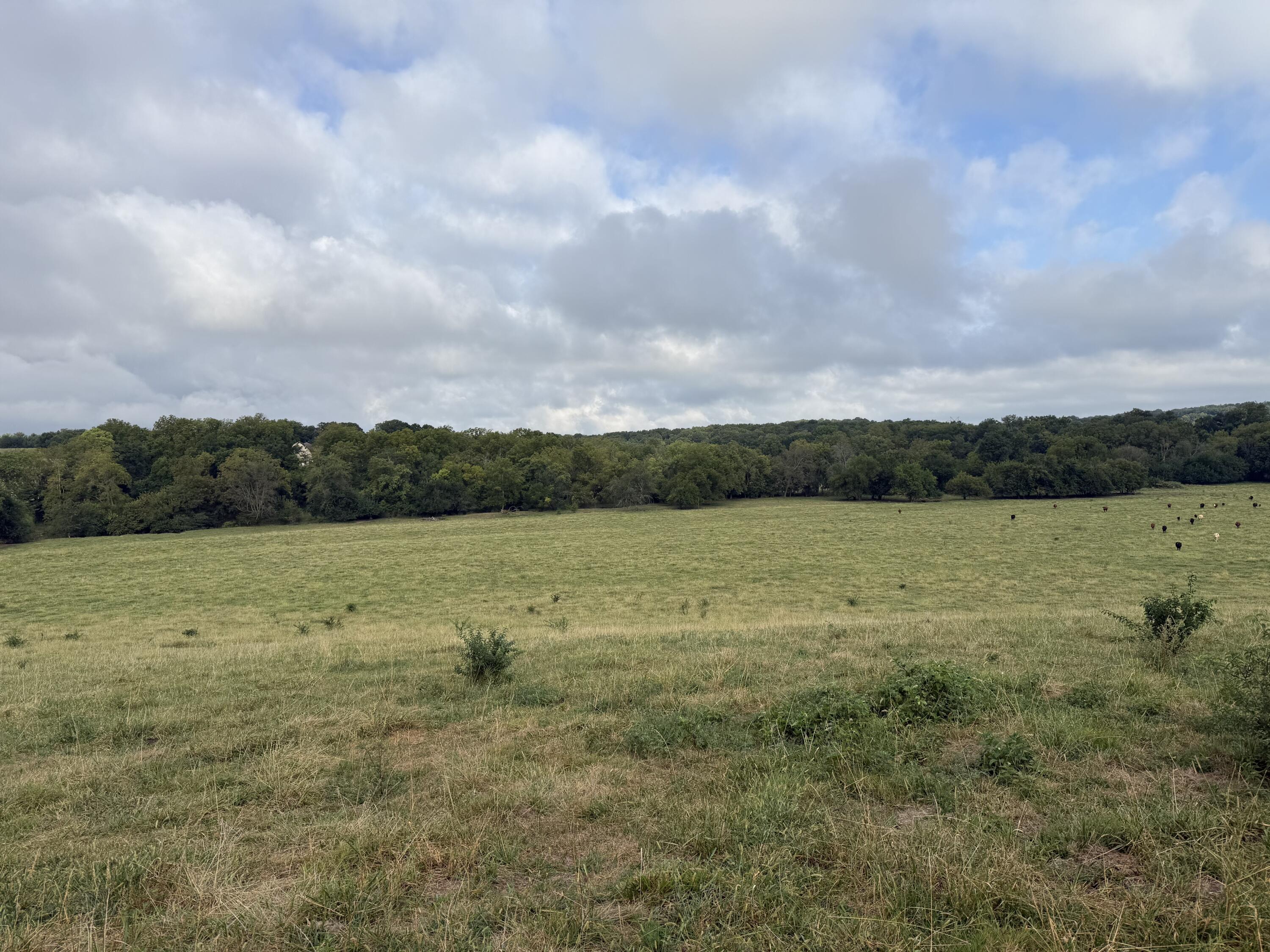 Photo of Tract 5 S Farm Road 55 Republic MO 65738