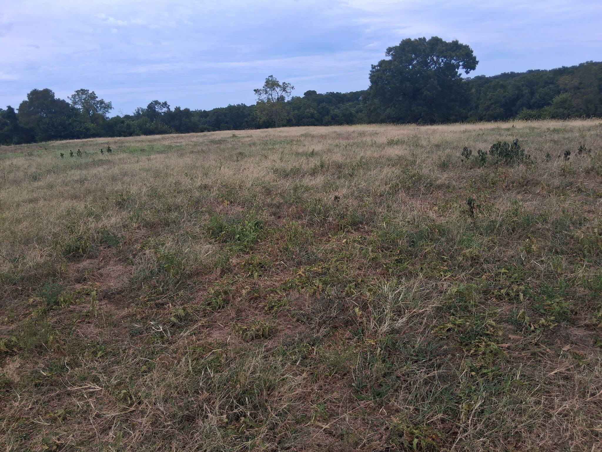 Photo of 000 Tbd Washburn MO 65772