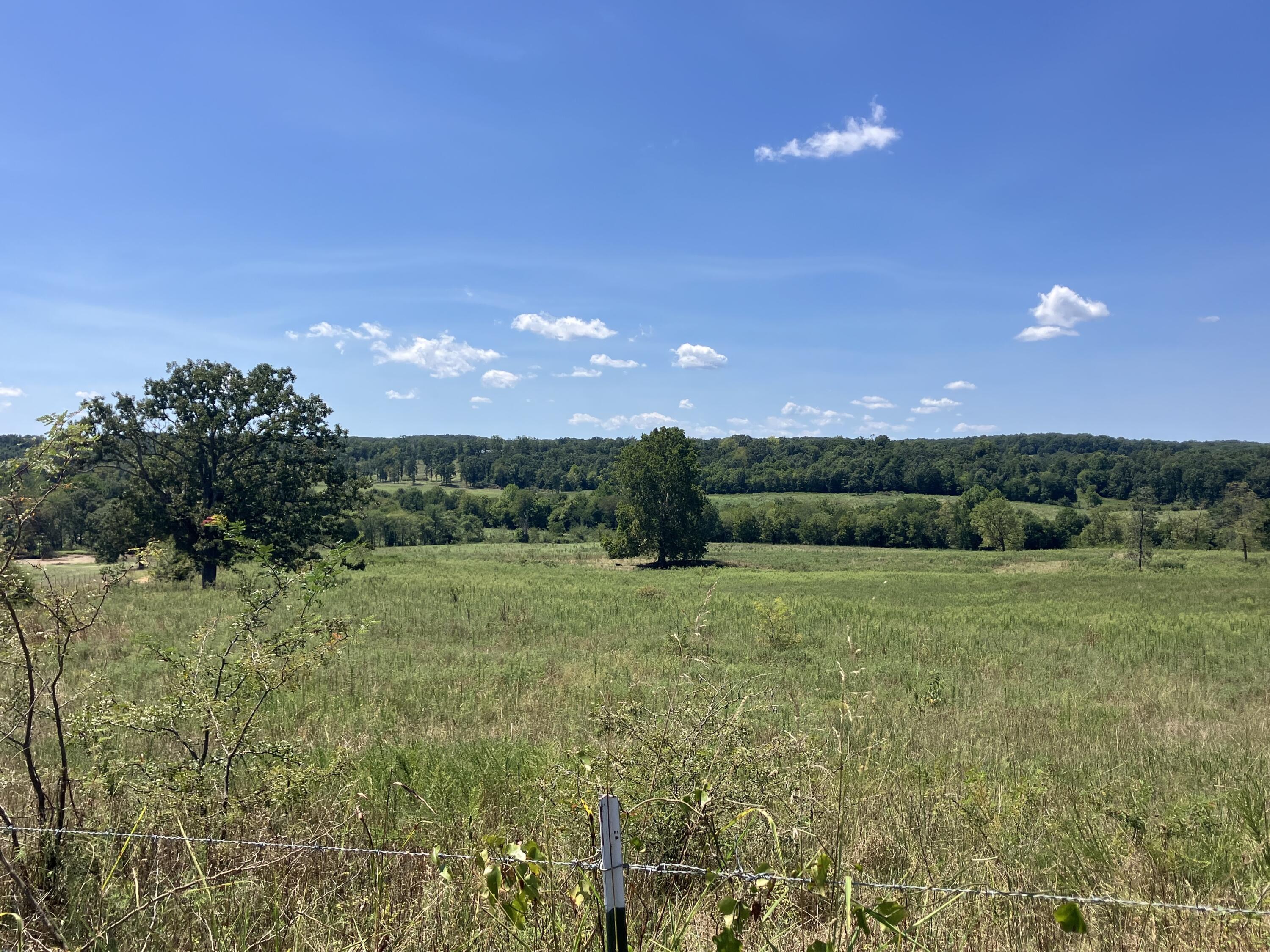Photo of 000 County Road 7040 Pottersville MO 65790