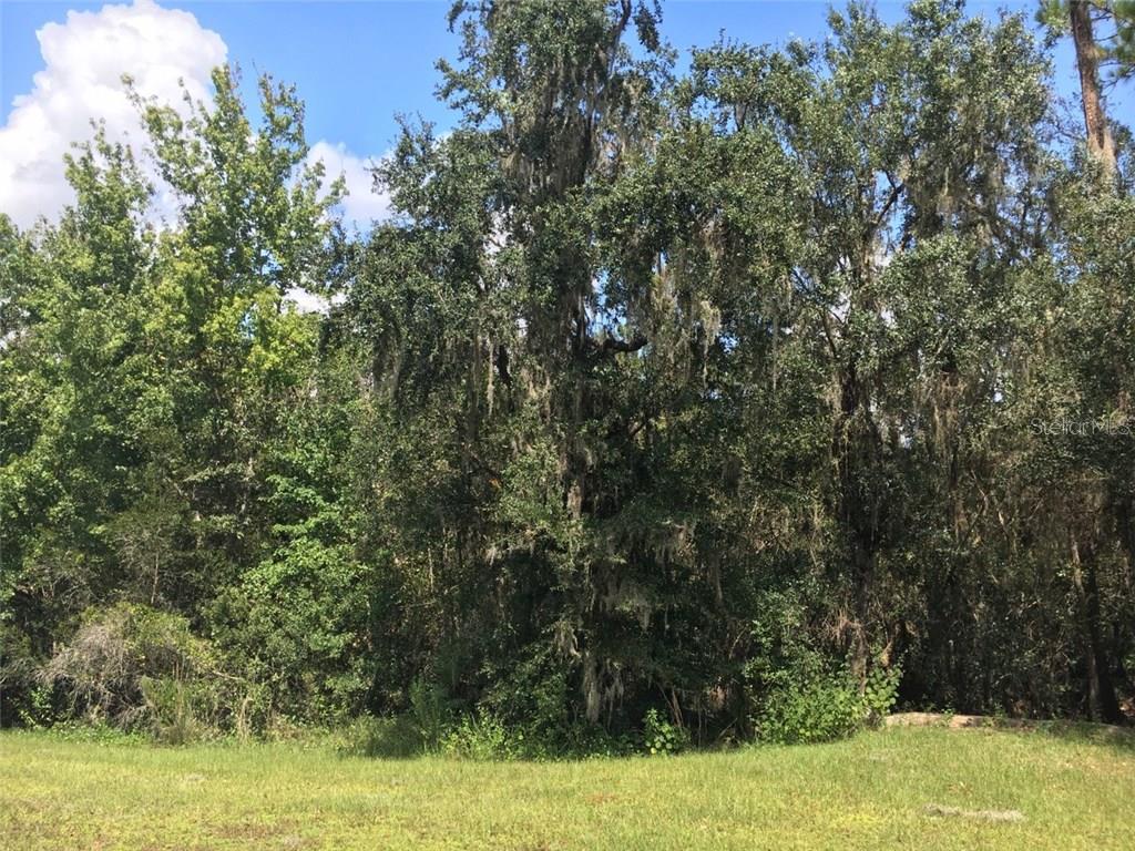 Photo of 41025 E 20TH PLACE MYAKKA CITY FL 34251
