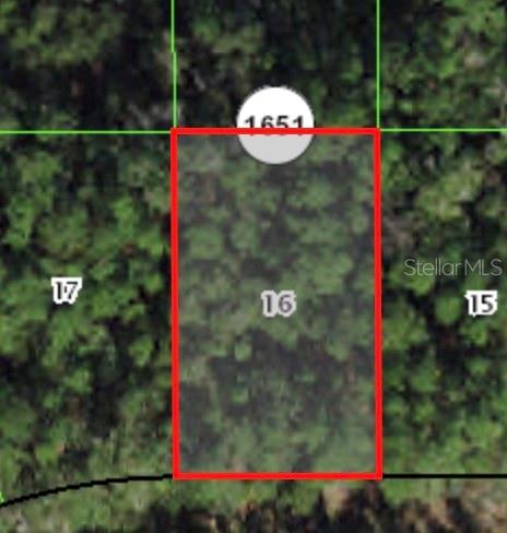 Photo of 225 E ENFIELD LANE CITRUS SPRINGS FL 34434