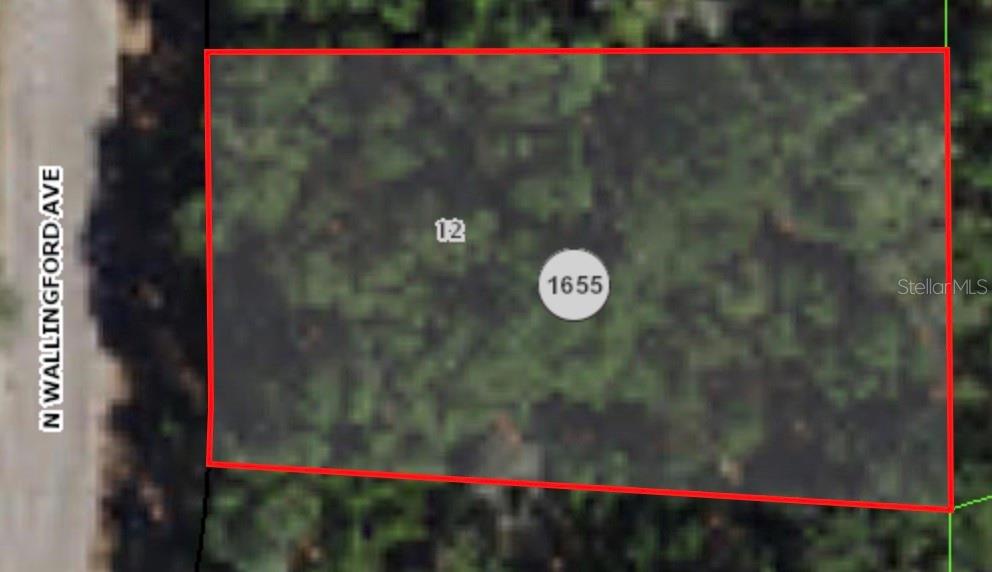Photo of 8317 N WALLINGFORD AVENUE CITRUS SPRINGS FL 34434