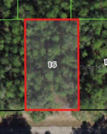 Photo of 368 E MC FADDIN PLACE CITRUS SPRINGS FL 34434