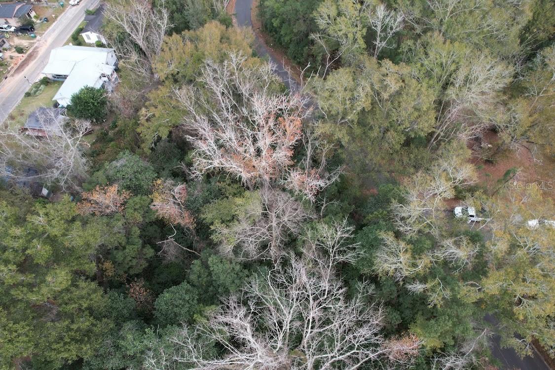 Photo of 3-12-2N-4W-1100-0000B-009 STATION STREET QUINCY FL 32351