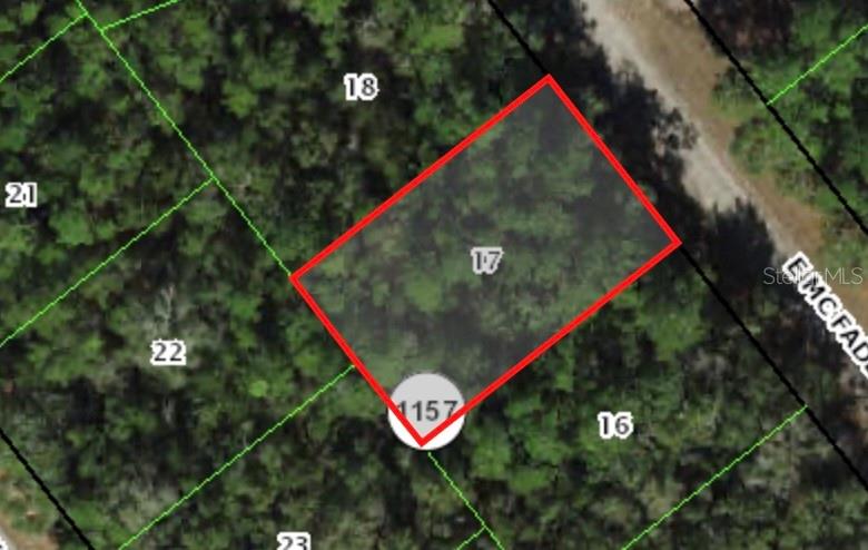 Photo of 127 E MCFADDIN PLACE DUNNELLON FL 34434