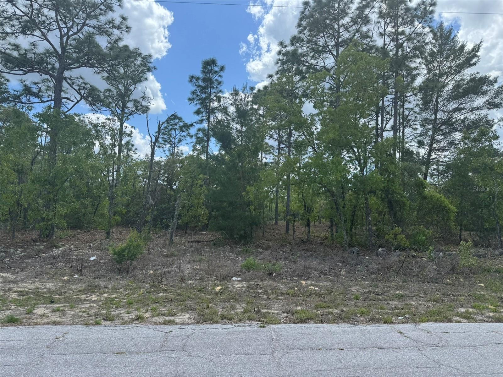 Photo of 2984 W LIZA PLACE DUNNELLON FL 34433