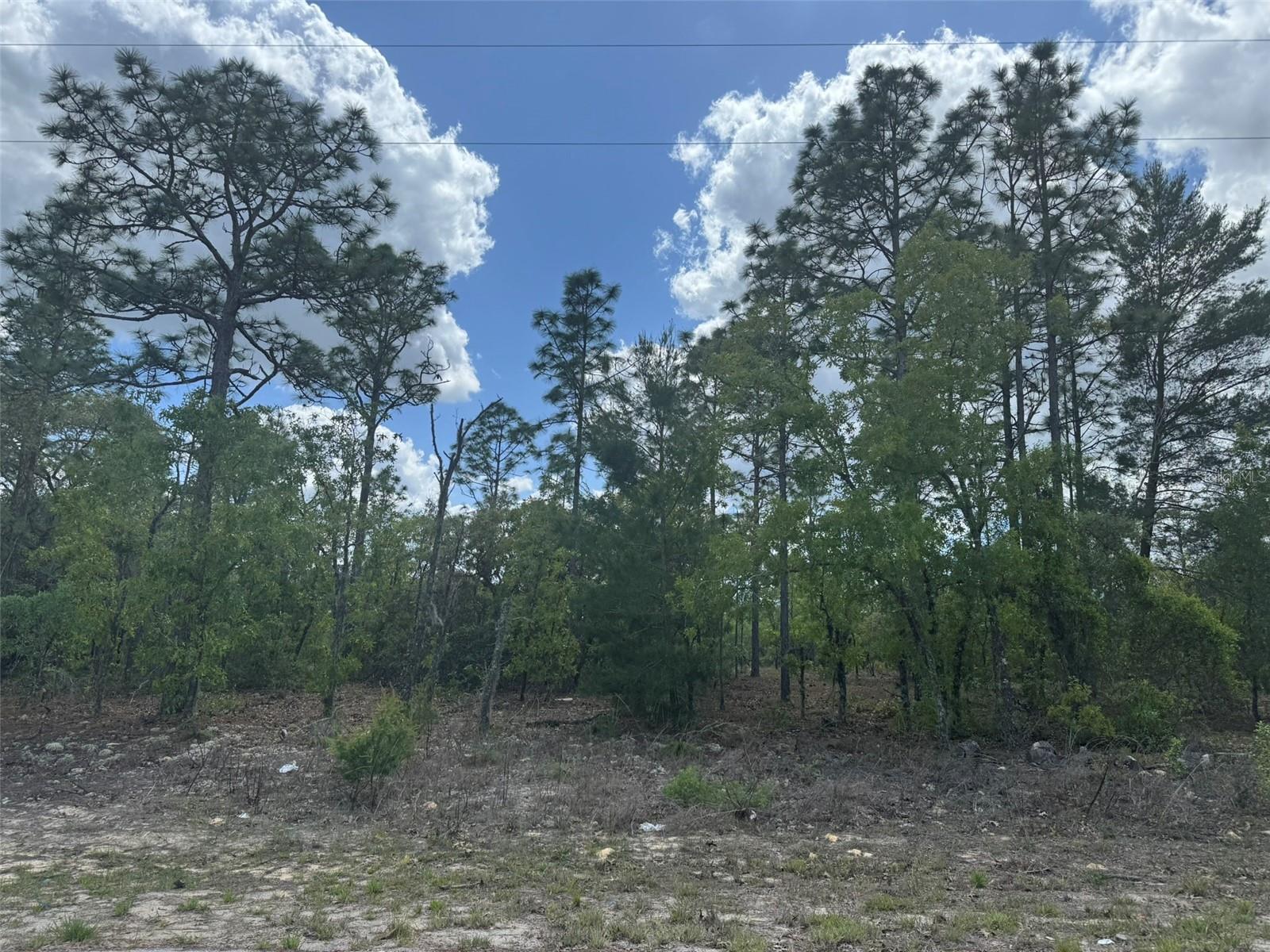 Photo of 3000 W LIZA PLACE DUNNELLON FL 34433