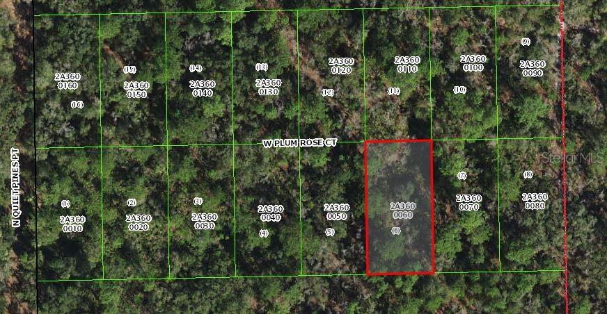 Photo of 9782 W PLUM ROSE COURT CRYSTAL RIVER FL 34429