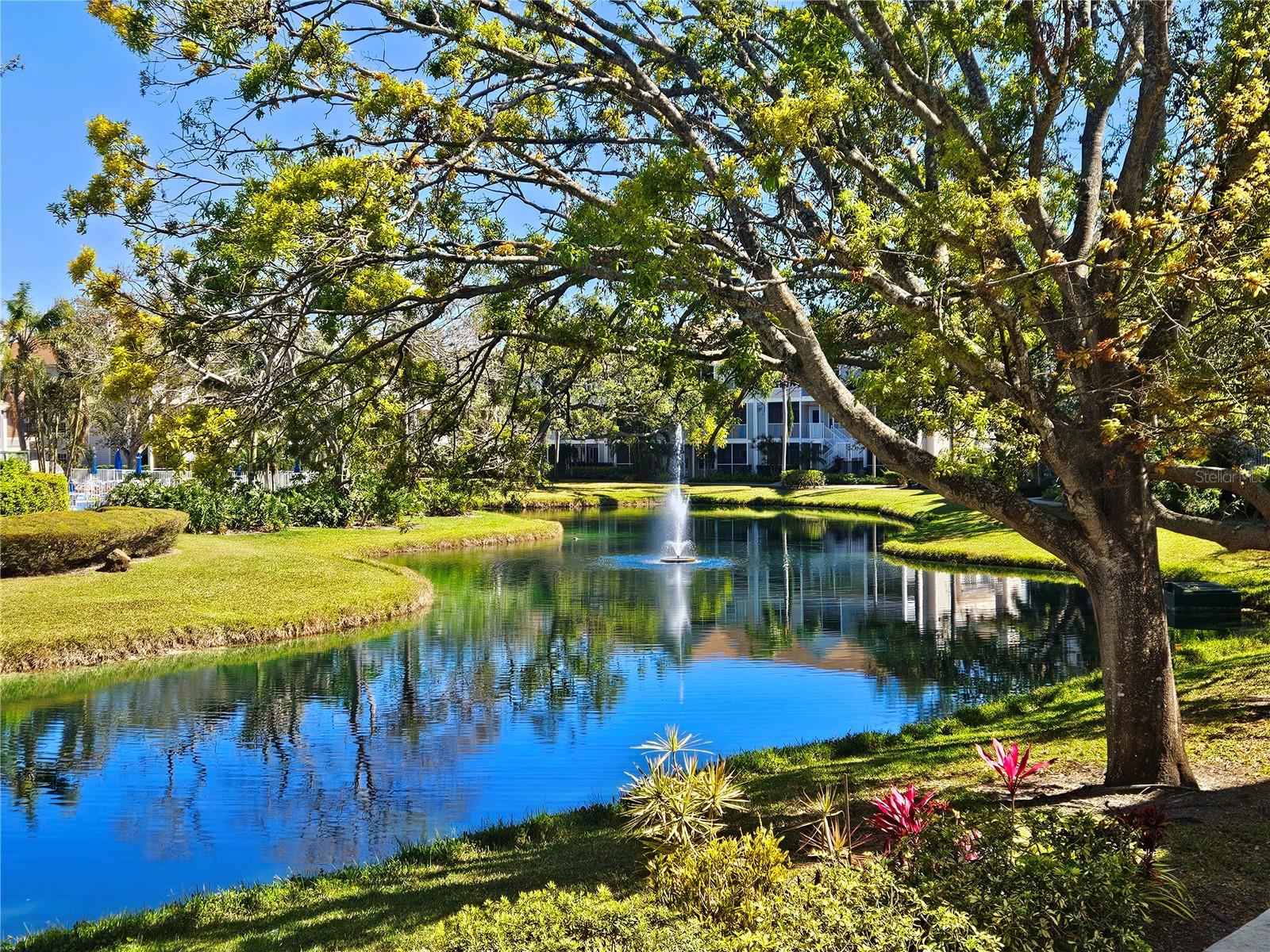 Photo of 850 S TAMIAMI TRAIL #506 SARASOTA FL 34236