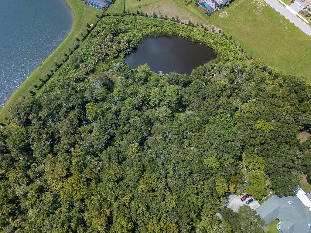 Photo of QUARTER HORSE ROAD SARASOTA FL 34241