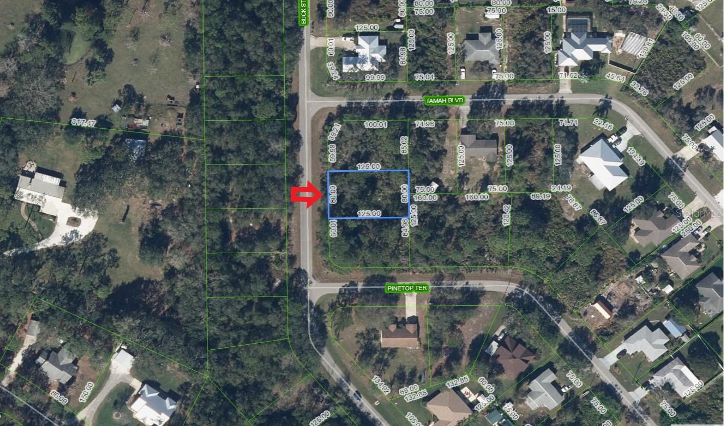 Photo of 1541 BUCK STREET LAKE PLACID FL 33852