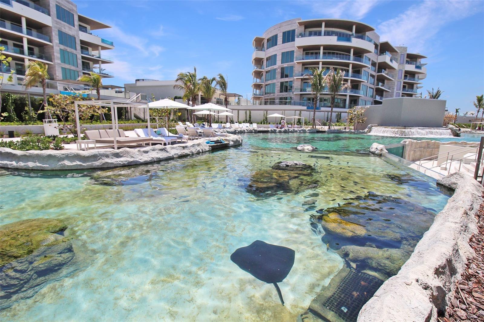 Photo of 1581 GULF OF MEXICO DRIVE #307 LONGBOAT KEY FL 34228