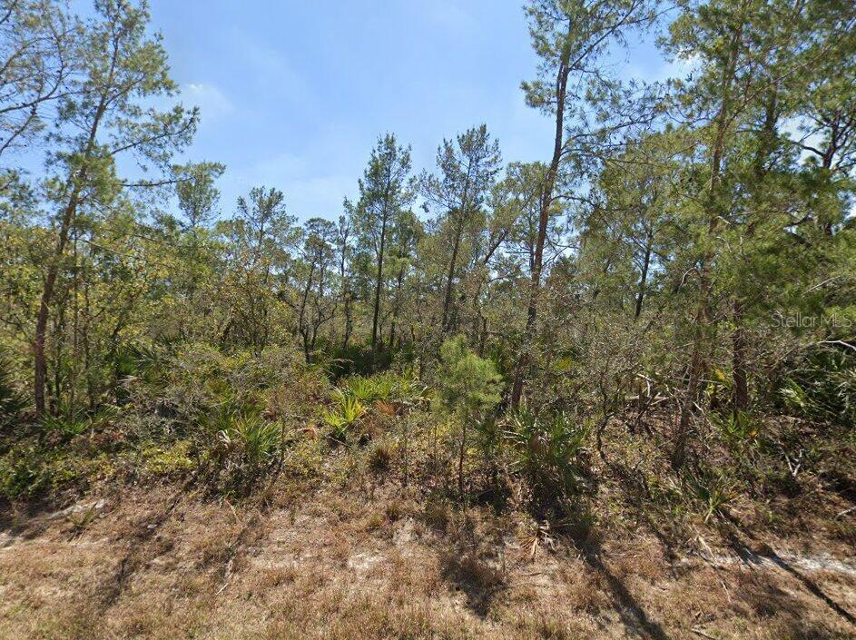 Photo of 3234 FLATBUSH AVENUE LAKE PLACID FL 33852