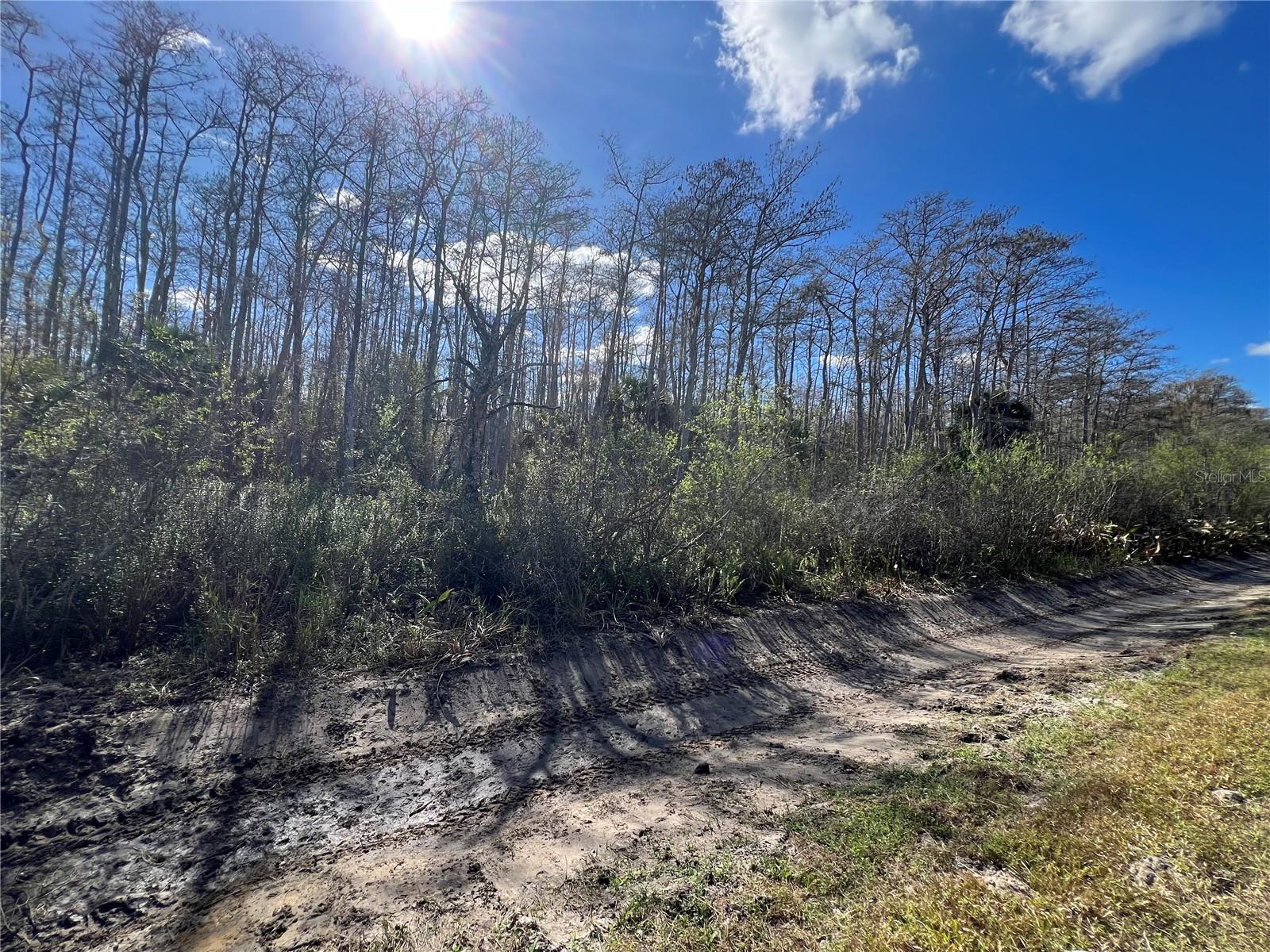 Photo of 64TH AVE NE NAPLES FL 34120