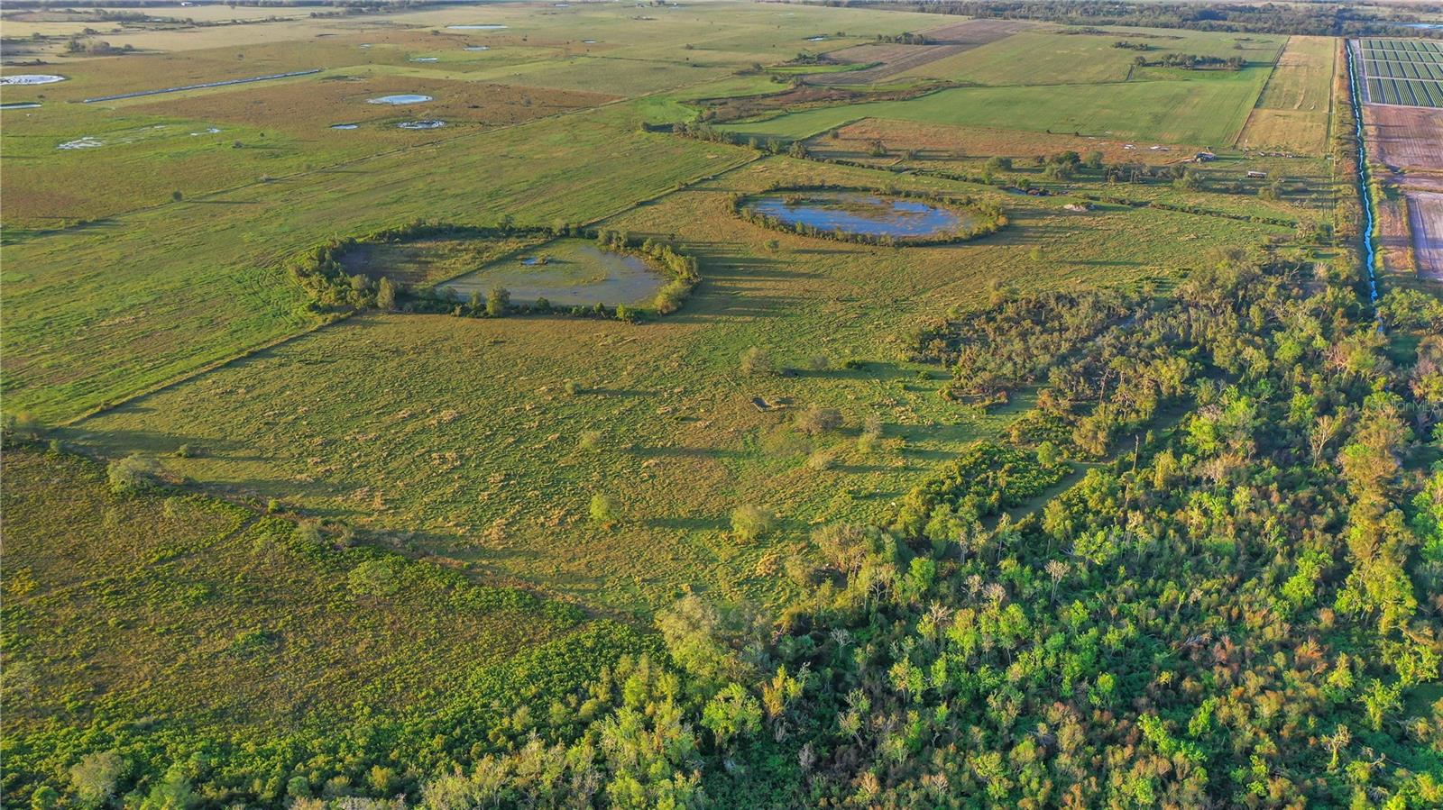 Photo of No Address Listed MYAKKA CITY FL 34251