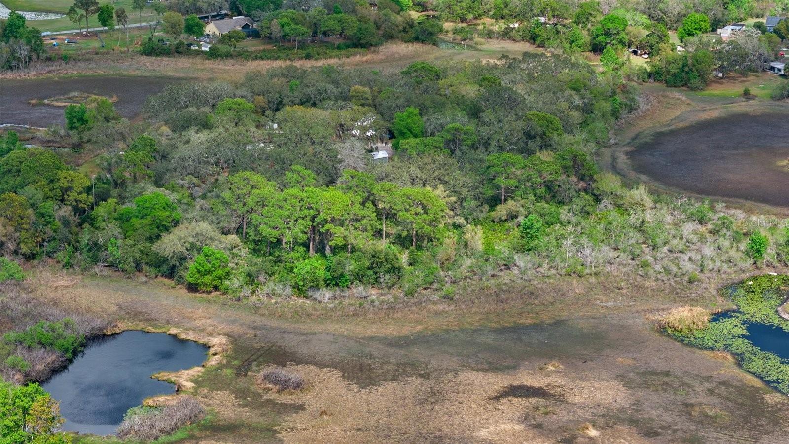 Photo of INDALE DRIVE NEW PORT RICHEY FL 34654