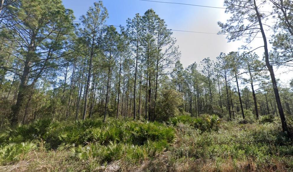 Photo of 10620 BECKENGER AVENUE HASTINGS FL 32145