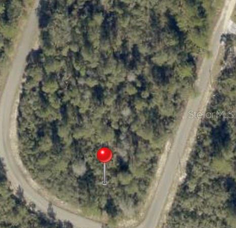 Photo of FISHER WAY TRACK OCKLAWAHA FL 32179