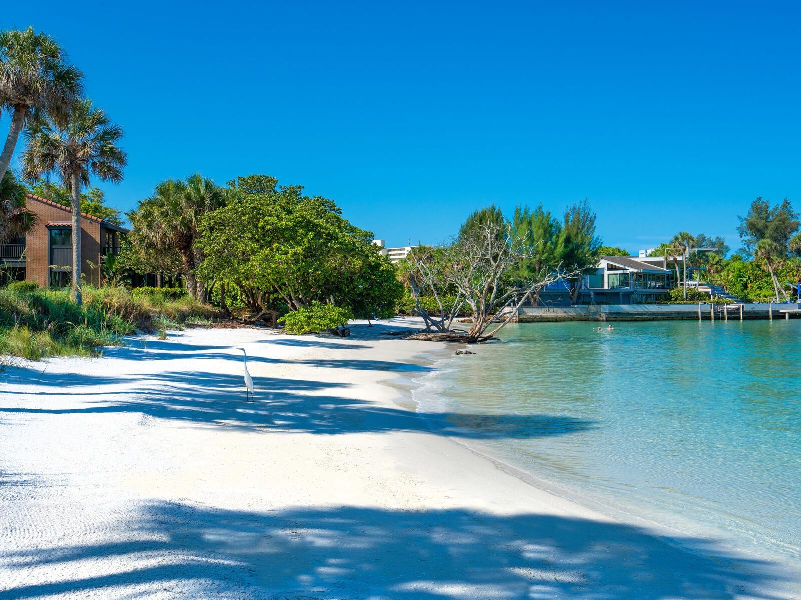 Photo of 22 SANDY COVE ROAD #APT 203 SARASOTA FL 34242