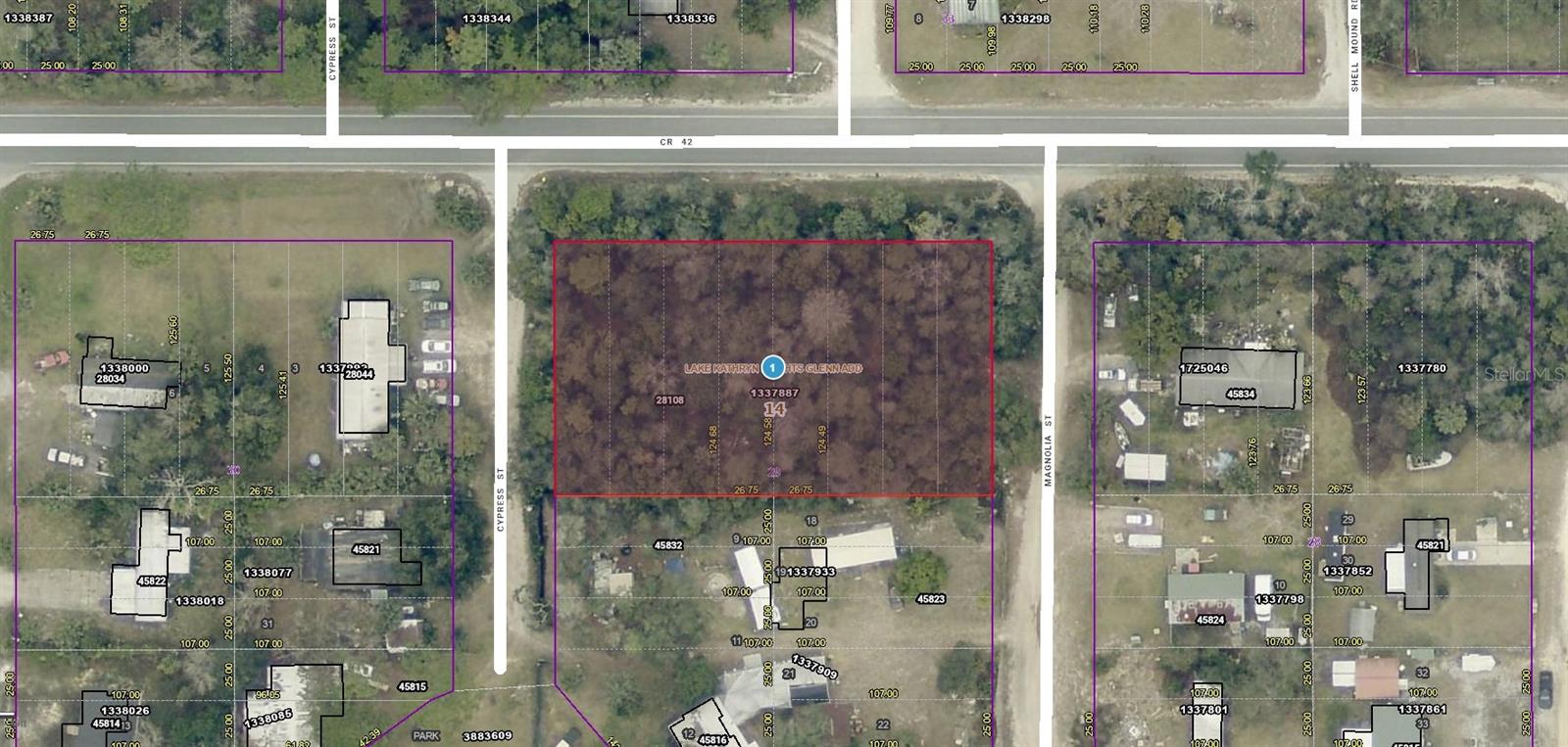 Photo of 28108 COUNTY ROAD 42 PAISLEY FL 32767
