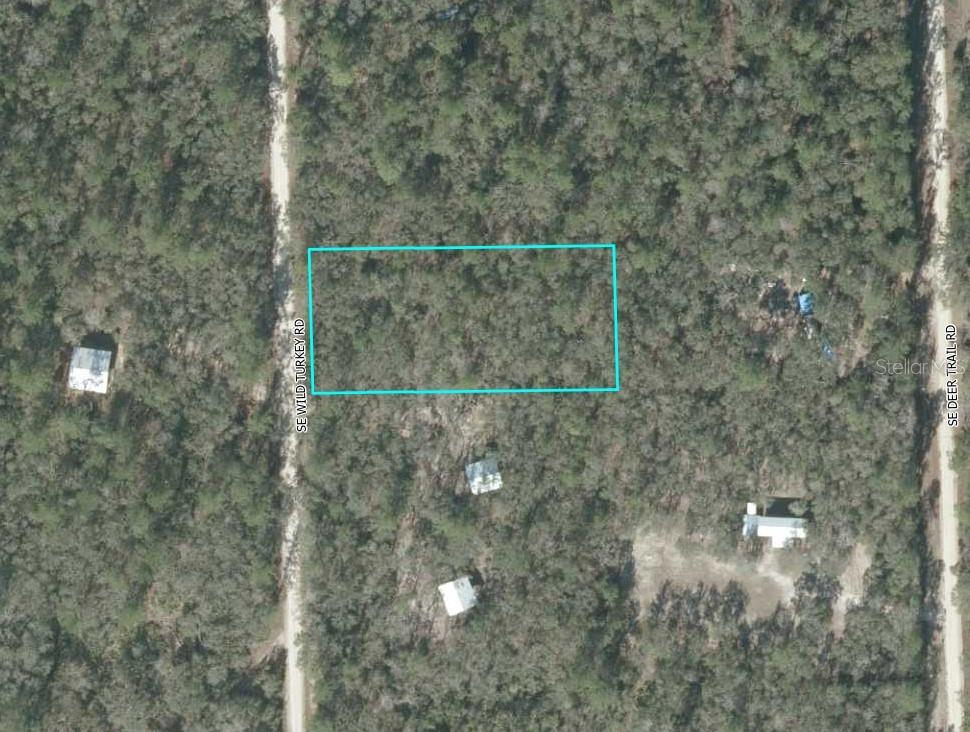Photo of SE WILD TURKEY ROAD BRANFORD FL 32008