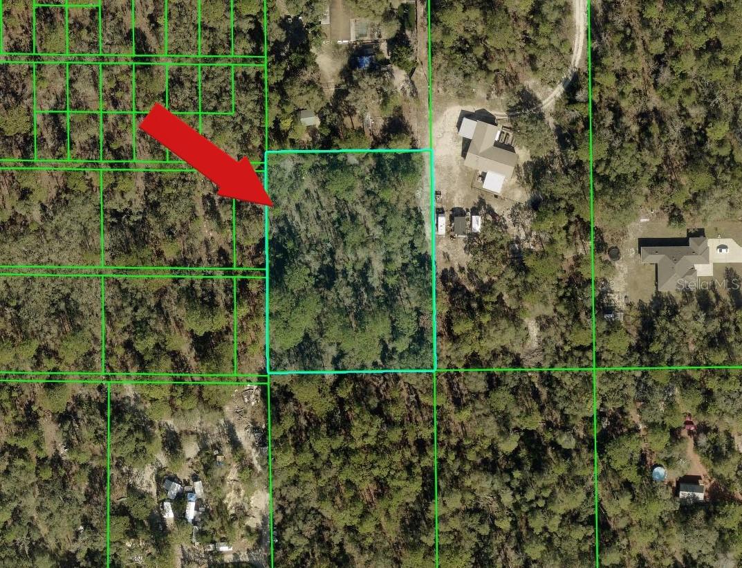 Photo of PEACEFUL AVENUE WEEKI WACHEE FL 34614