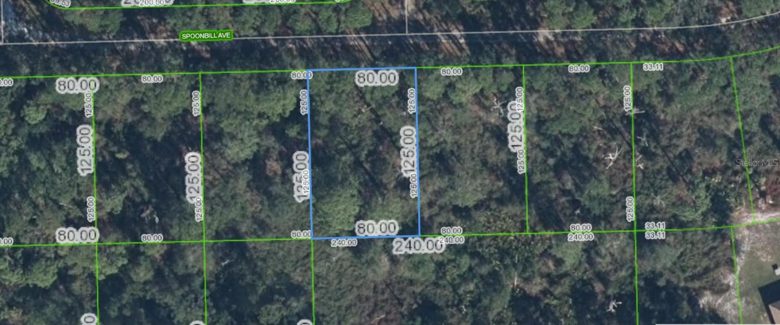 Photo of 3224 SPOONBILL AVENUE LAKE PLACID FL 33852