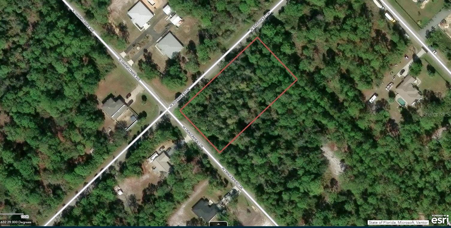 Photo of 11645 W DRAGONHEAD DRIVE CRYSTAL RIVER FL 34428