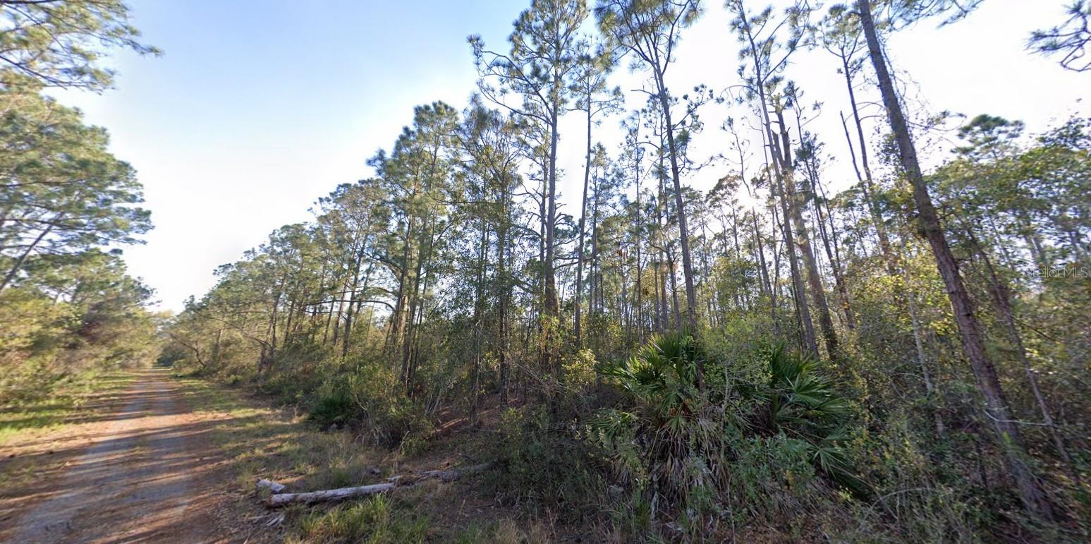 Photo of 1054 ROBIN STREET LAKE PLACID FL 33852