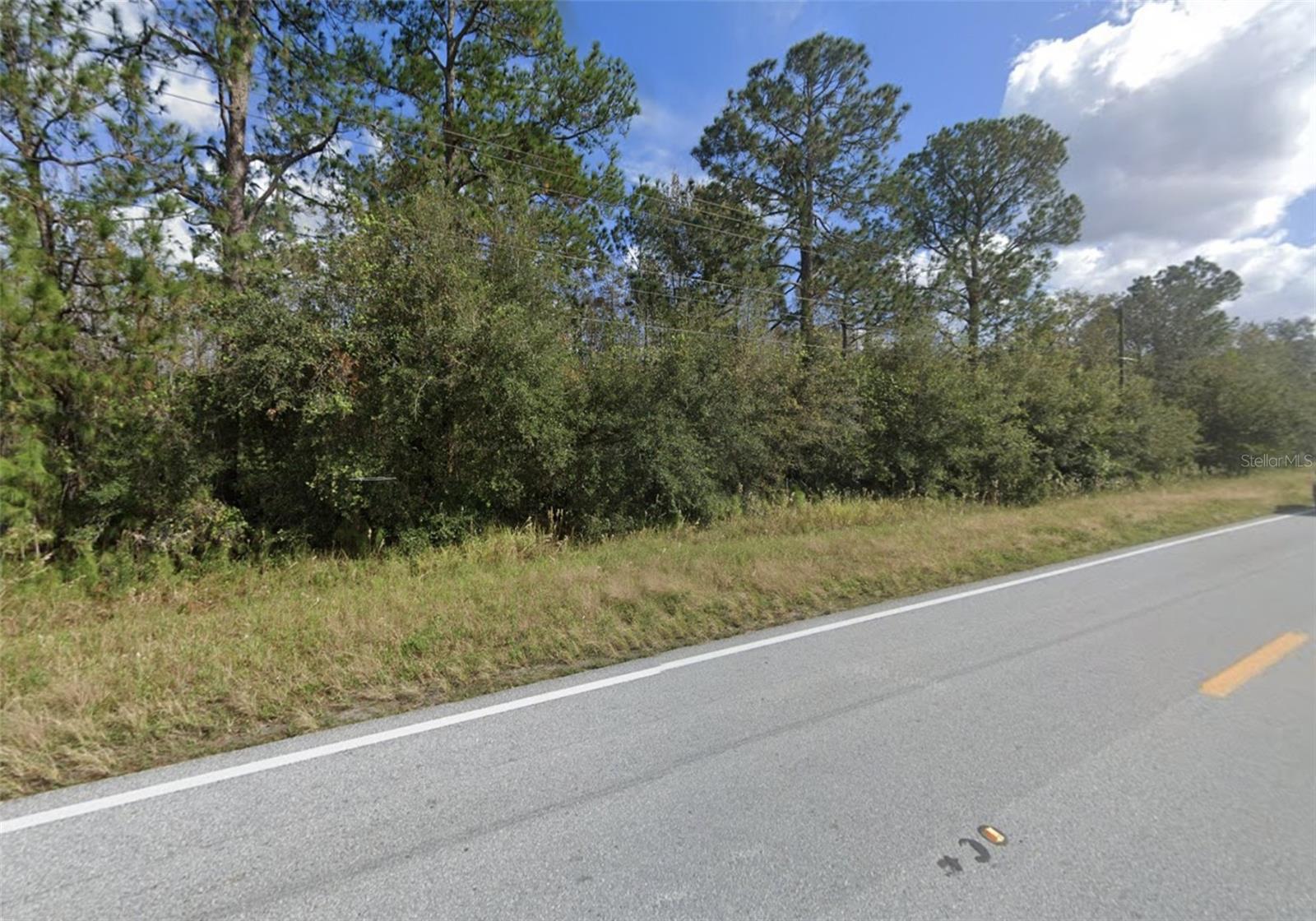 Photo of OLD GRADE ROAD POLK CITY FL 33868