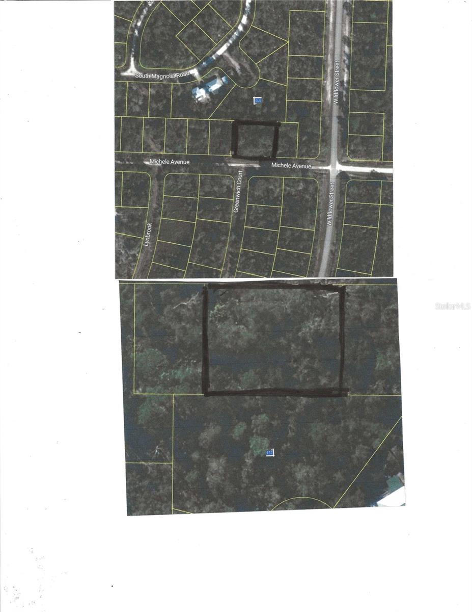 Photo of 3205 MICHELE AVENUE LAKE PLACID FL 33852