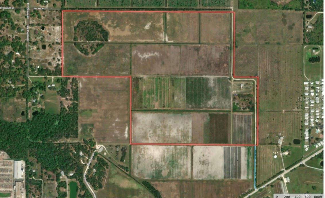 Photo of NW HWY 72 ARCADIA FL 34266