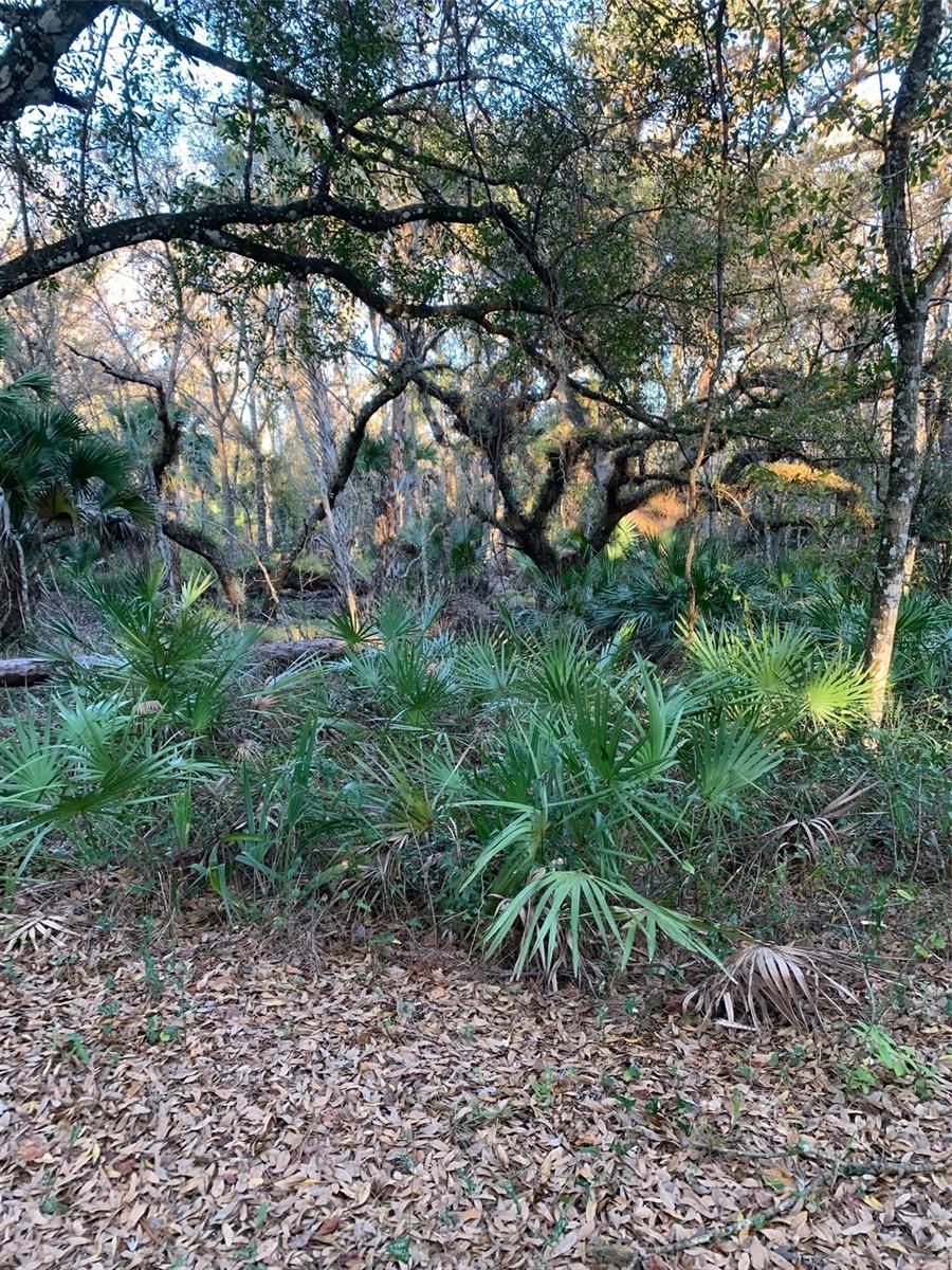 Photo of 49 FENNY BOSK TRAIL VENUS FL 33960