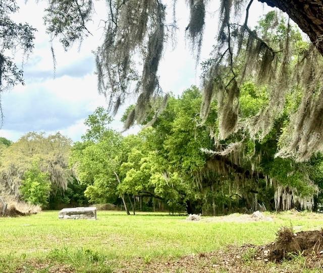 Photo of 1031 ORANGE BOULEVARD POLK CITY FL 33868