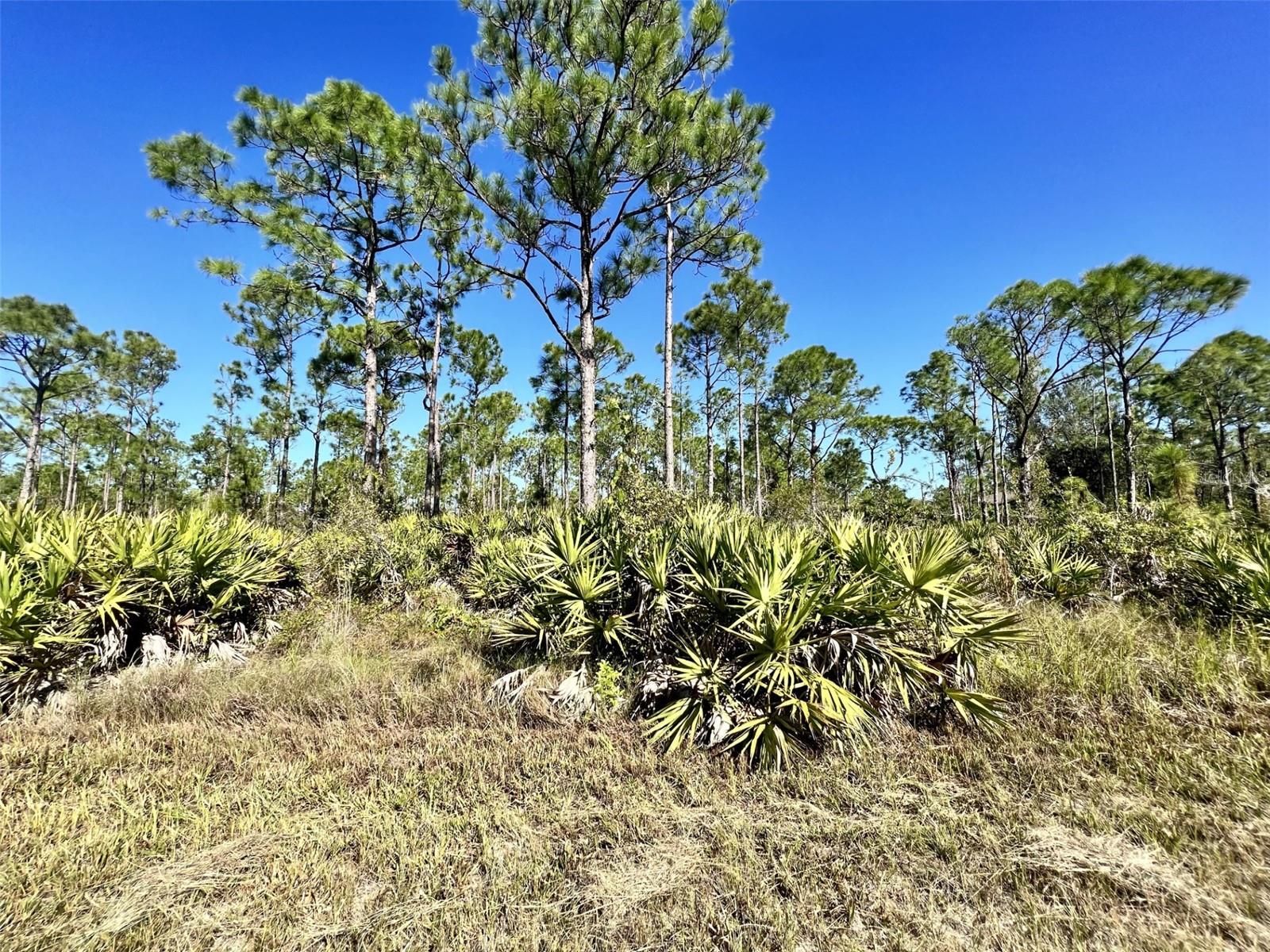 Photo of 28060 ARGYLE DRIVE PUNTA GORDA FL 33955