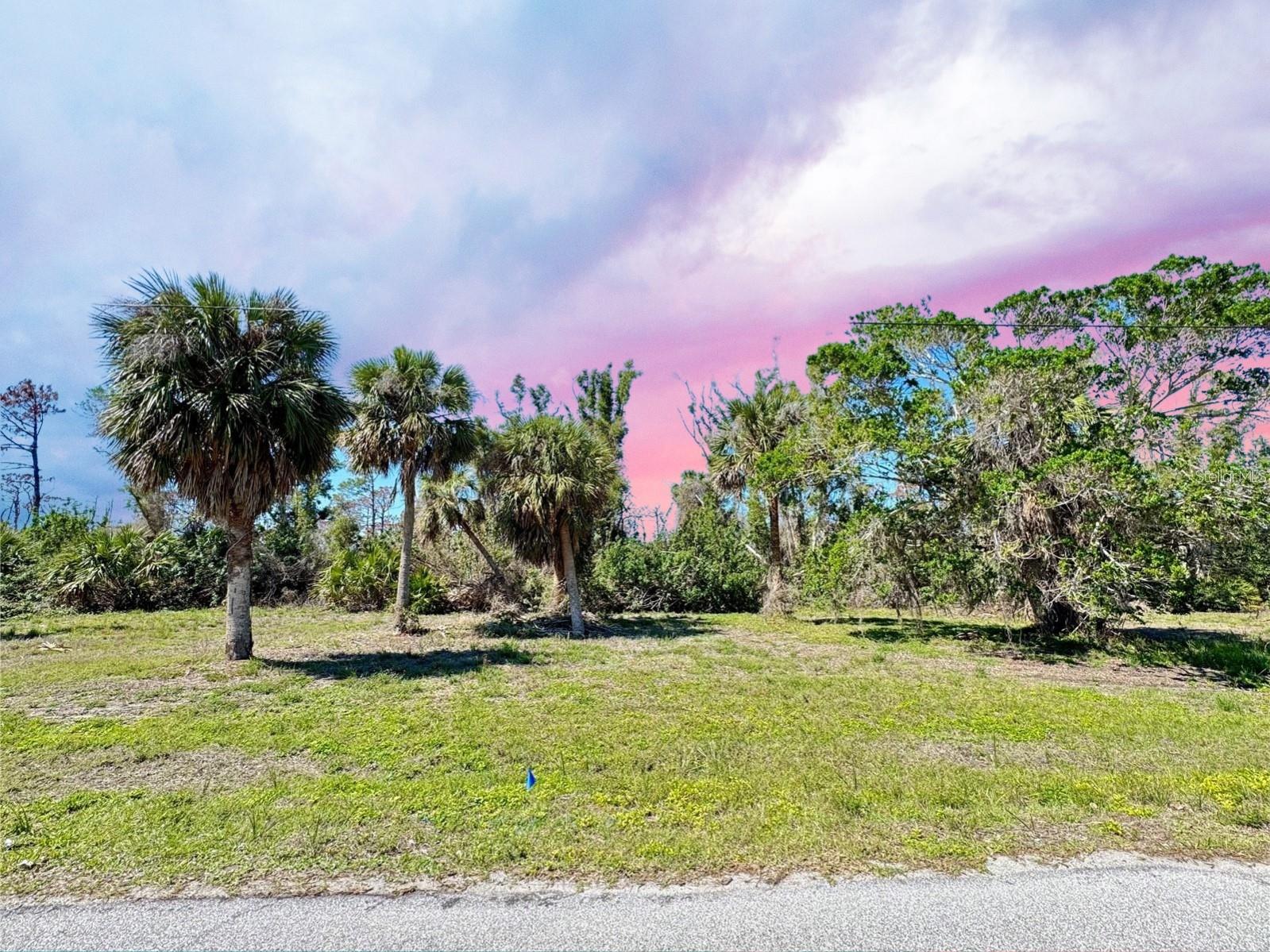 Photo of 50 COBIA DRIVE PLACIDA FL 33946