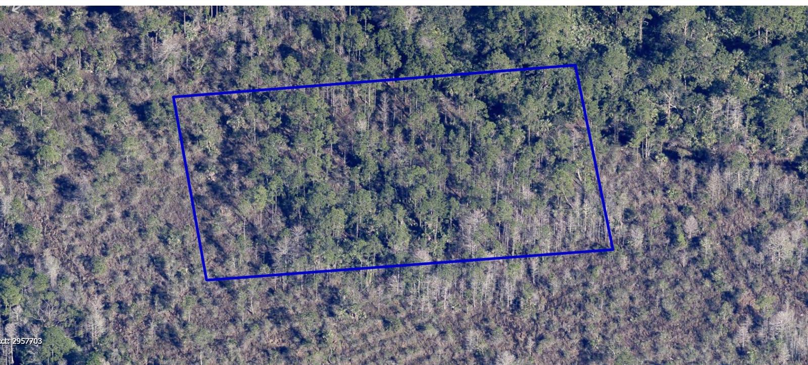 Photo of NO NAME GRANT FL 32949