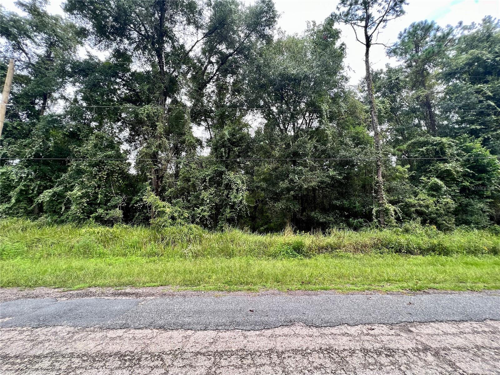 Photo of 303 W ERIDANI COURT CITRUS SPRINGS FL 34434